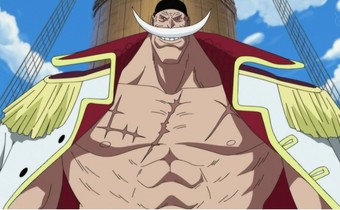 Whitebeard Medium