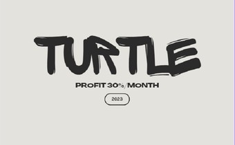Turtle____