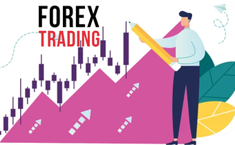 Forex For You