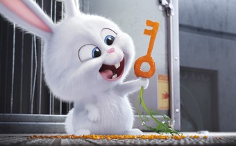 Tiger_Rabbit