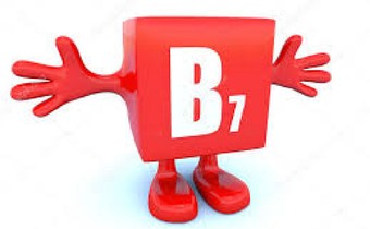 B7 Strategy